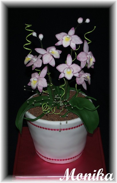 mf_421076747_2ab3e05e80d5ecf5e0cb7f4e700f2dbc